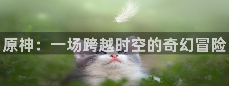 虫虫漫画免费登录入口