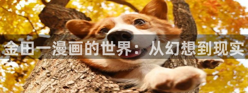 什么是虫虫漫画