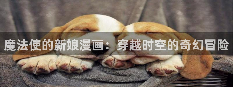 虫虫漫画网页